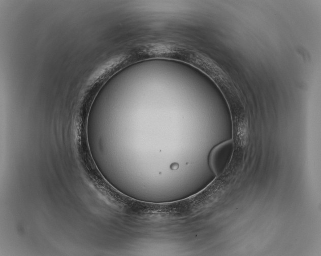 X0000111900732200908031116