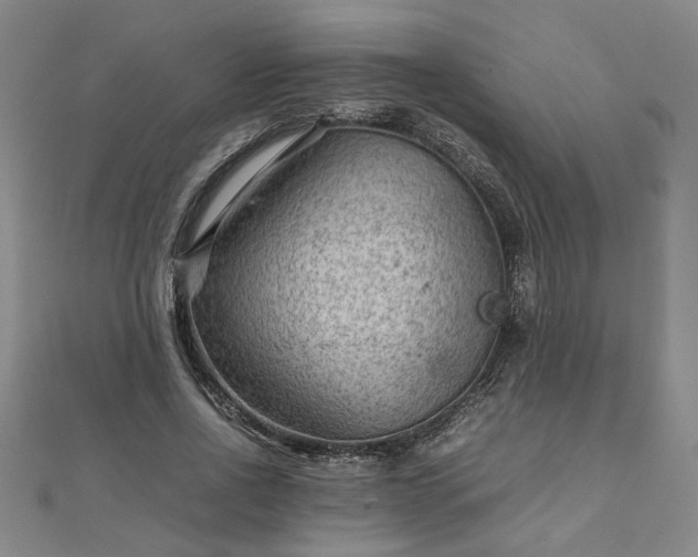 X0000111900734200908031116