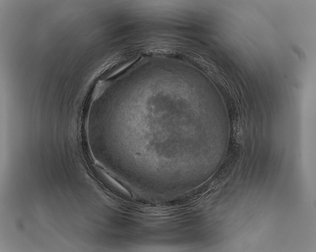 X0000111900735200908031116