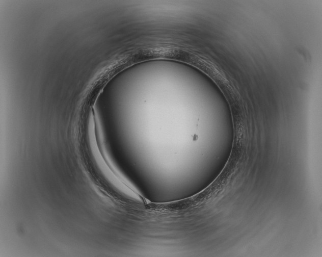 X0000111900736200908031116