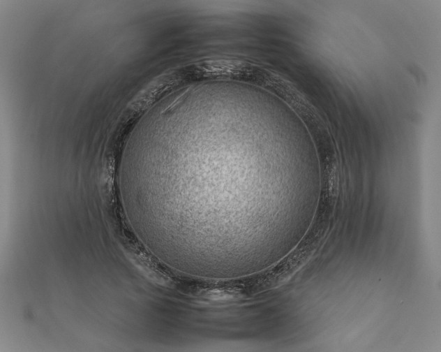 X0000111900737200908031116