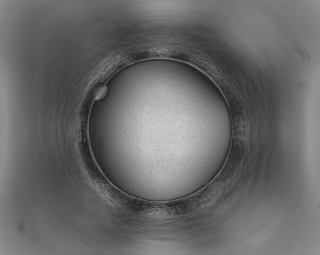 X0000111900738200908031116