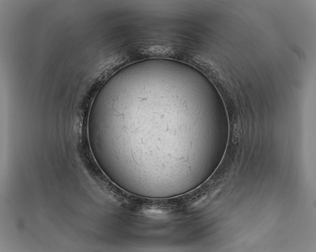 X0000111900739200908031116