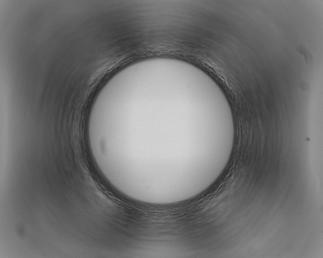 X0000111900740200908031116