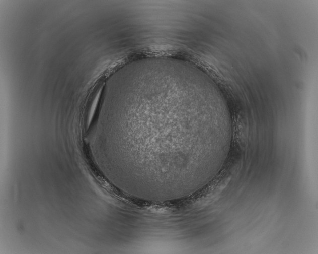 X0000111900742200908031116