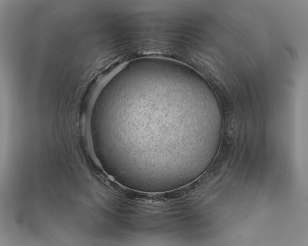 X0000111900743200908031116