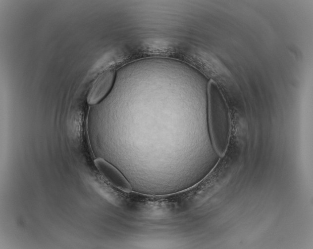 X0000111900744200908031116