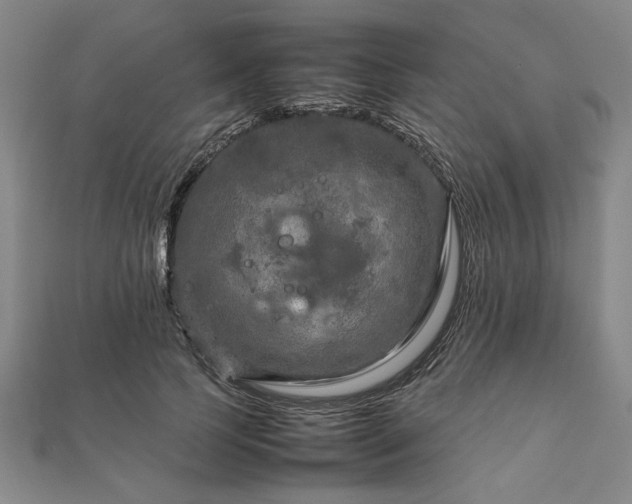 X0000111900745200908031116