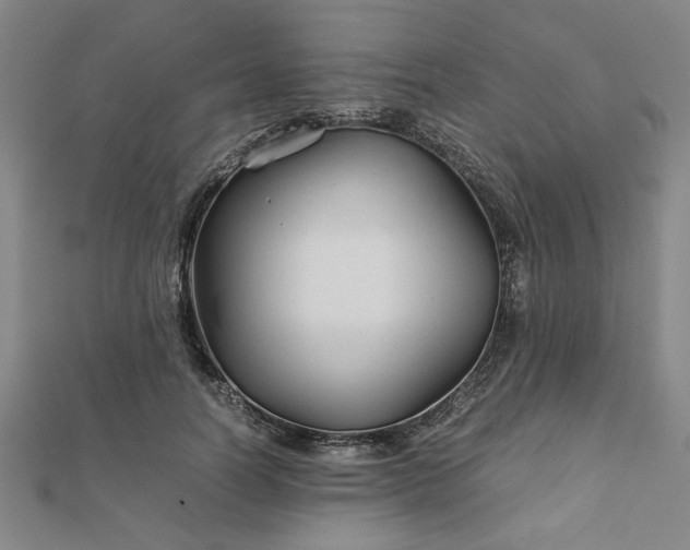 X0000111900746200908031116