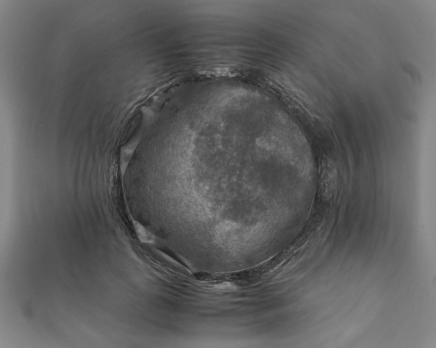 X0000111900747200908031117