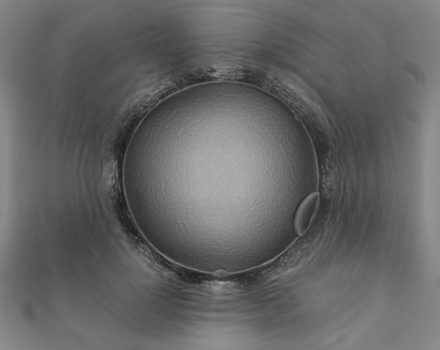 X0000111900748200908031117