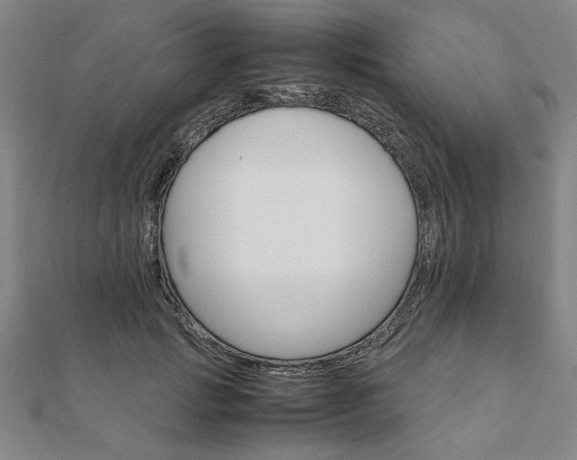 X0000111900749200908031117