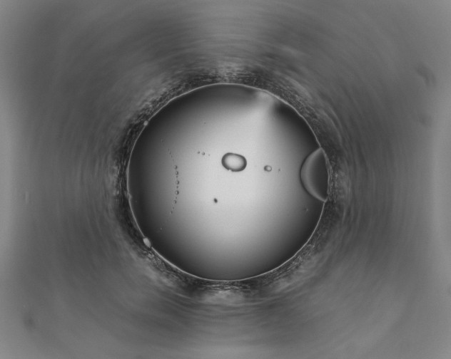 X0000111900750200908031117