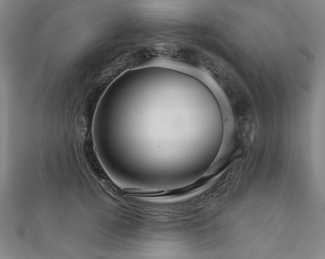 X0000111900752200908031117