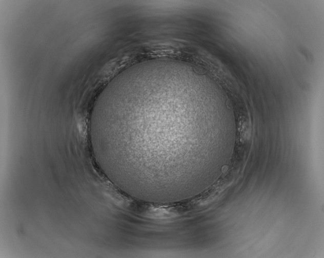 X0000111900753200908031117