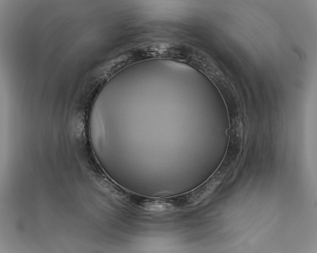 X0000111900754200908031117