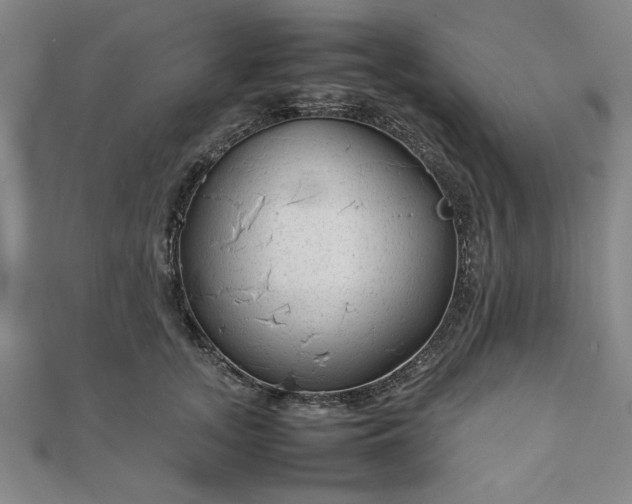 X0000111900755200908031117