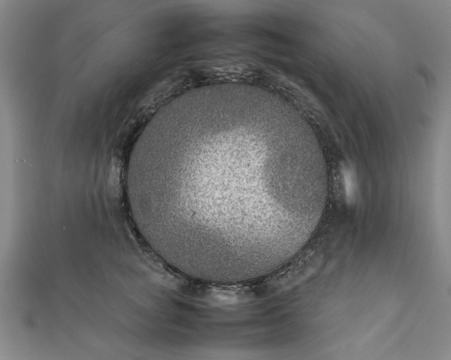 X0000111900757200908031117