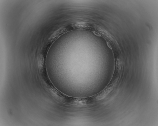 X0000111900760200908031117