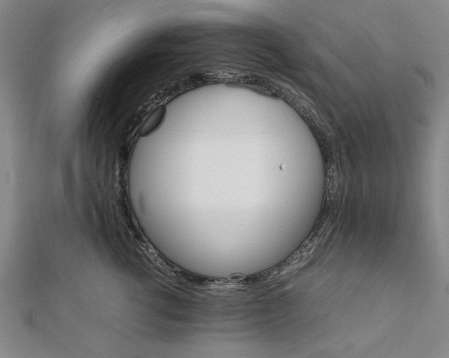 X0000111900762200908031117