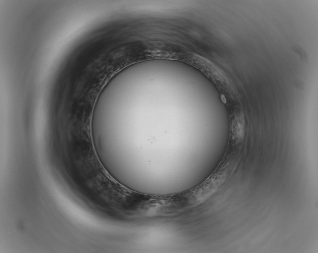 X0000111900764200908031117