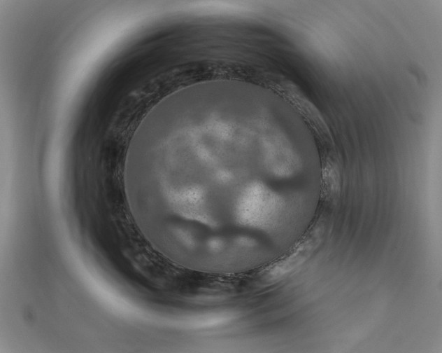 X0000111900765200908031117