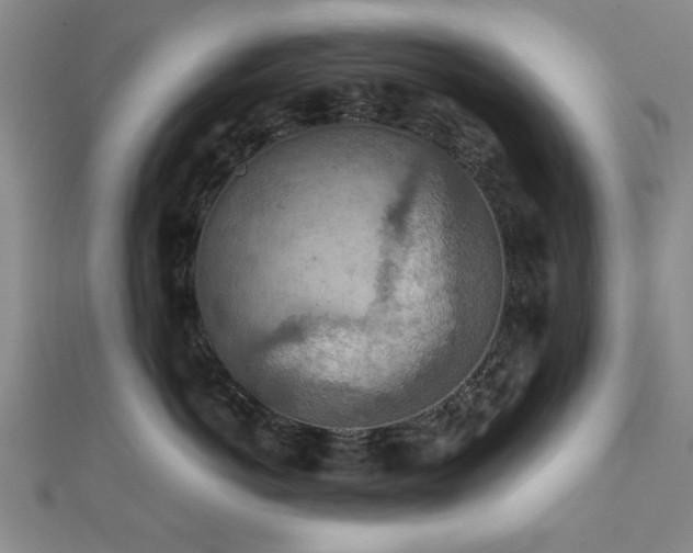 X0000111900766200908031117