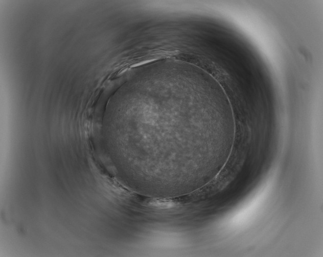 X0000111900767200908031117