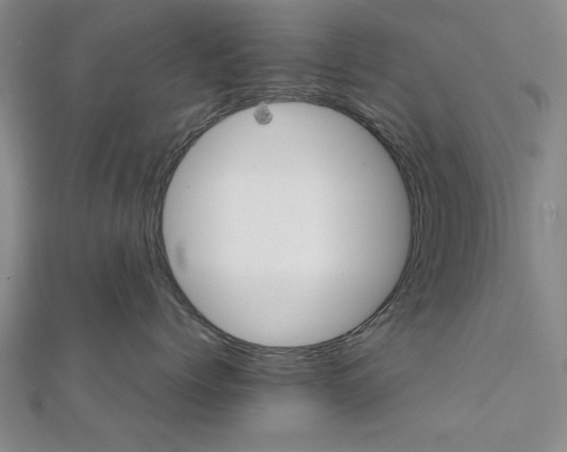 X0000111900768200908031117