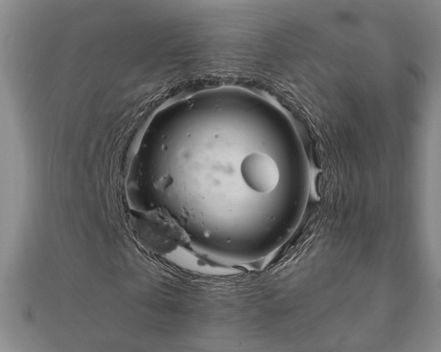 X0000111900769200908031116