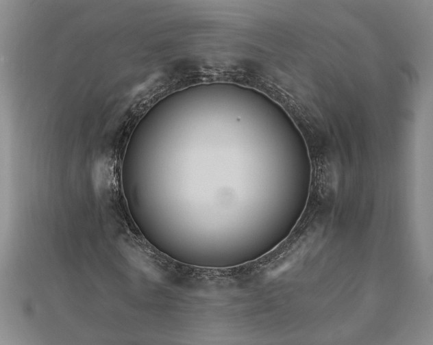 X0000111900770200908031116