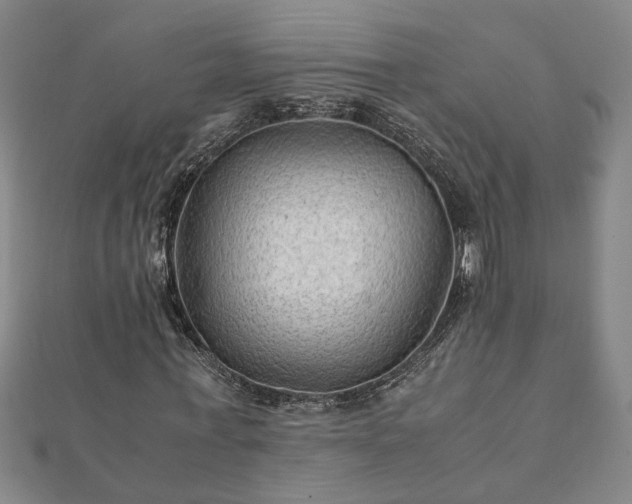 X0000111900771200908031116