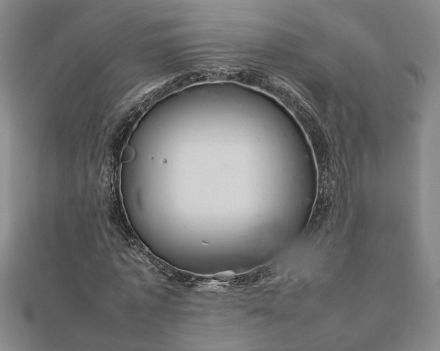 X0000111900773200908031116