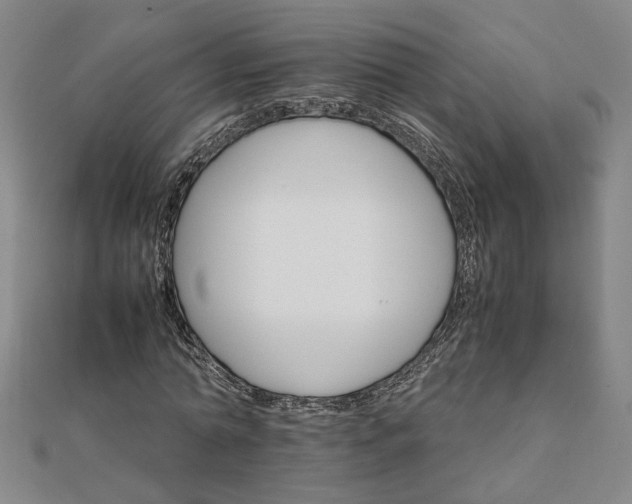 X0000111900774200908031116