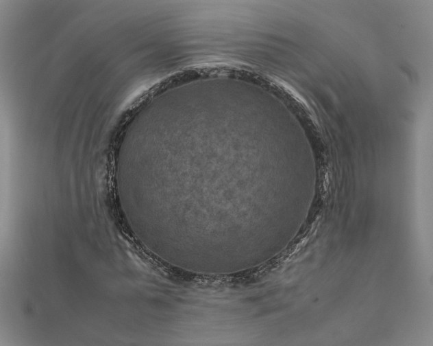 X0000111900775200908031116