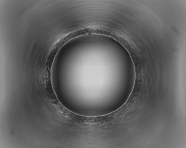 X0000111900776200908031116