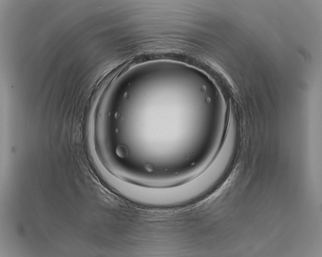 X0000111900777200908031116