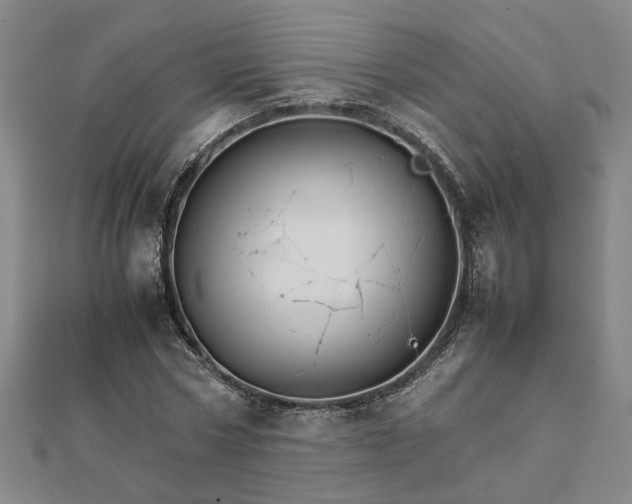 X0000111900778200908031116