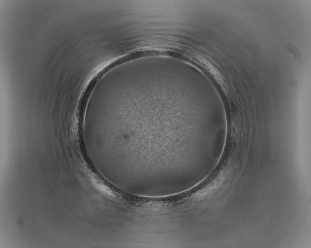 X0000111900779200908031116