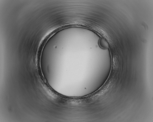 X0000111900780200908031116