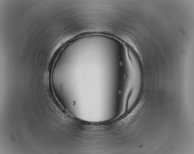 X0000111900781200908031116