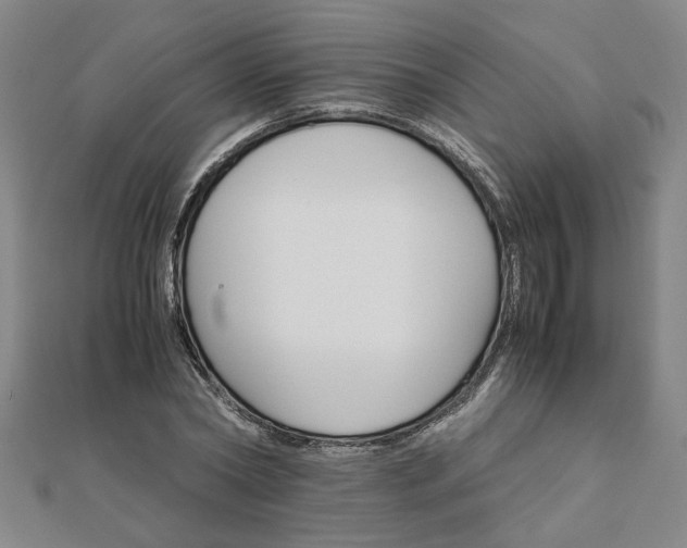 X0000111900782200908031116