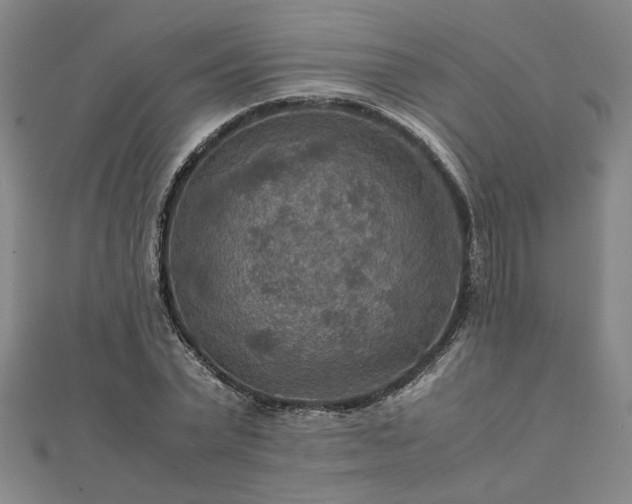 X0000111900783200908031116