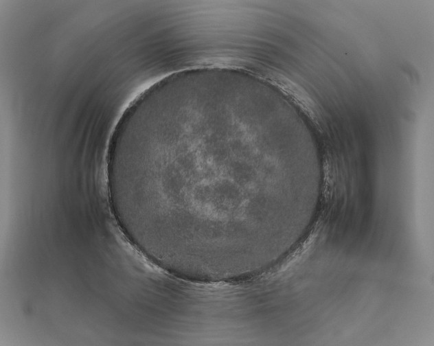 X0000111900784200908031116