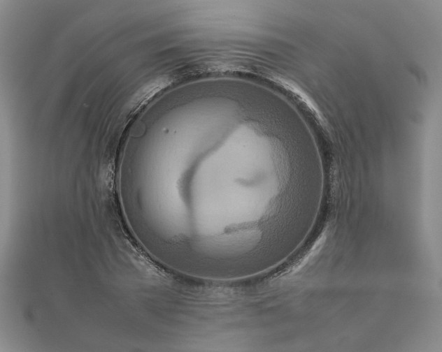 X0000111900785200908031116