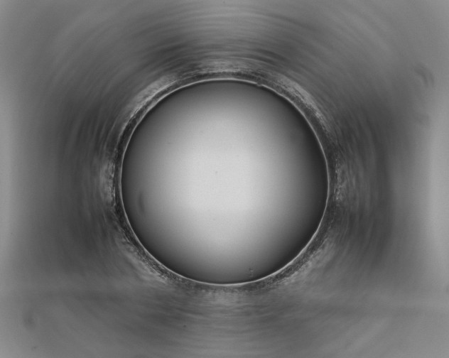 X0000111900786200908031116