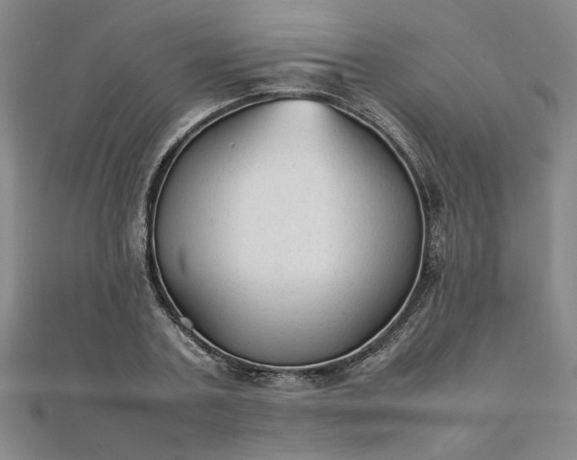 X0000111900787200908031116