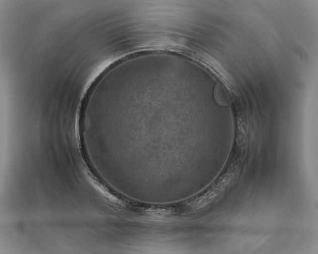 X0000111900788200908031116