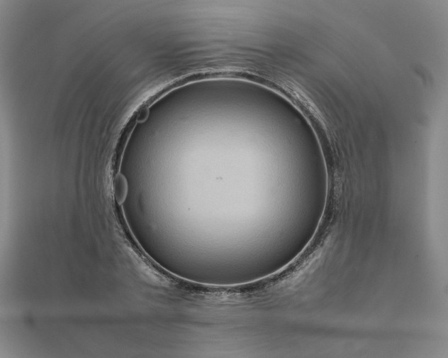 X0000111900789200908031116