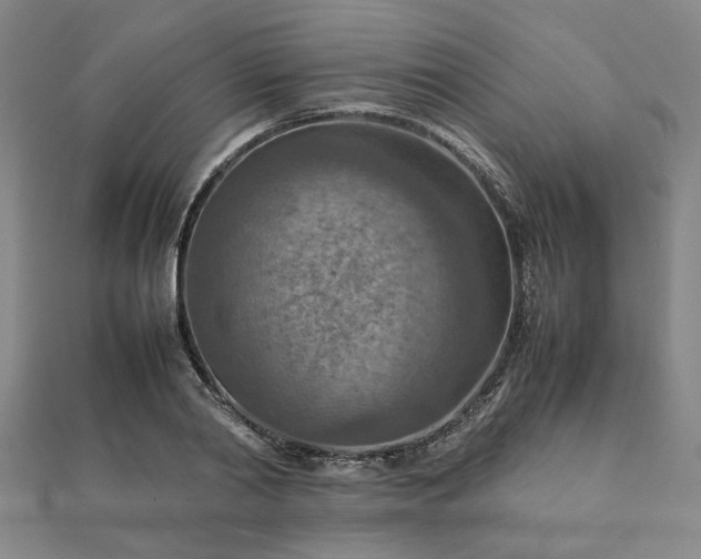 X0000111900790200908031116